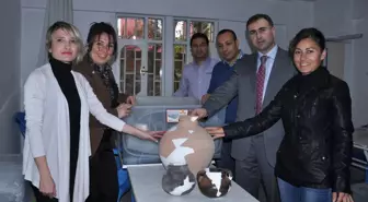 Kuriki Höyük'te 2012 Yılı Kazısı Tamamlandı