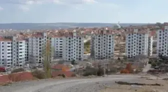 Sarp Group, Anadolu'da da Yükseliyor