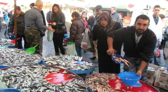 Kocaeli'de Balık Fiyatları