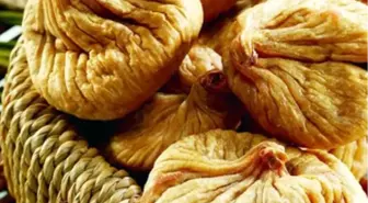 Aydın Ticaret Borsası