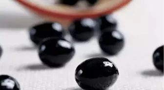 Bursa Ticaret Borsası