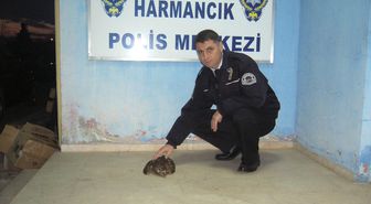 Başkan Vekili Bakıcı'dan Yeni Yıl Mesajı