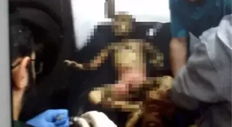 Çadır Yandı 4 Çocuk Öldü