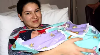 Van'da Yeni Yılın İlk Bebekleri