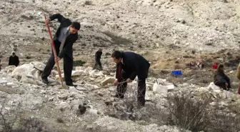 Gaün Öğrencilerinden Ağaç Dikme Etkinliği