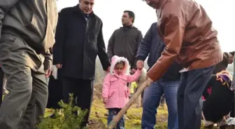 Bartın'da Çocuklar İçin Fidan Dikildi