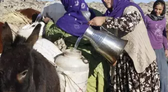 Her Gün At ve Eşekle Su Taşıyorlar