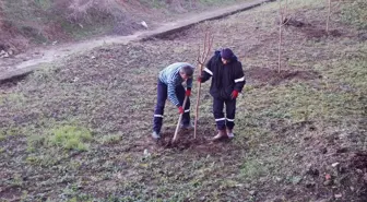 Lapseki Belediyesi'nden Mezarlığa Bakım