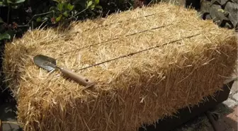 'Sakla Samanı, Gelir Zamanı' Atasözü Doğrulandı