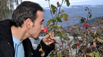 Ocak Ayında Açan Güller Görenleri Şaşırtıyor