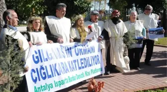 Çığlıkara Ormanları İçin Gılgamışlı Protesto