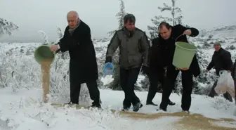 Spil Dağı'ndaki Yabani Hayvanlara Yem Bırakıldı