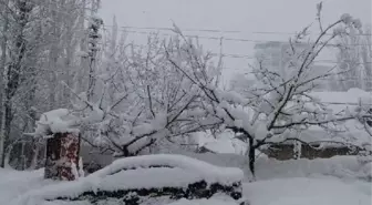 Hakkari'de Kar Yağışı