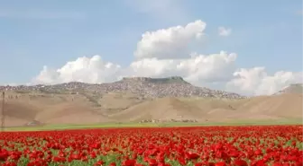 Mardin'in 1 Milyon Turist Gururu