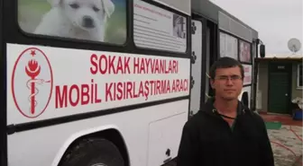 Şarköy Belediyesi, Sokak Köpeklerini Kısırlaştırdı