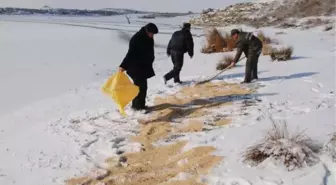 Yaban Hayvanları İçin Doğaya 1000 Kilogram Yem Bırakıldı