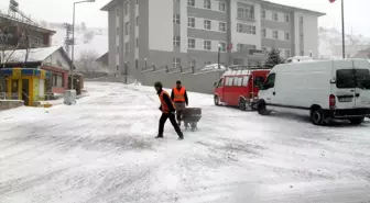 Koyulhisar'da Soğuk Hava Etkili Oldu