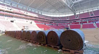 Türk Telekom Arena'da Çim Serimine Başlandı