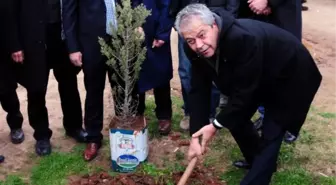 Çamlığa Otel İmarına Fidanlı Protesto