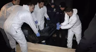 Küçükçekmece'de Kavga Ölümle Sonuçlandı: 1 Ölü, 4 Yaralı