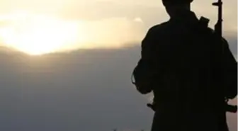 7 PKK'lı Teslim Oldu