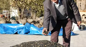 Bursa Ticaret Borsası