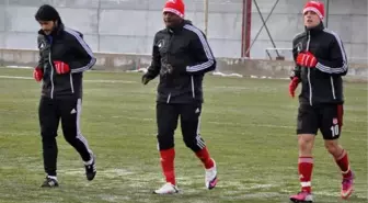 Sivasspor'da Transfer Çalışmaları