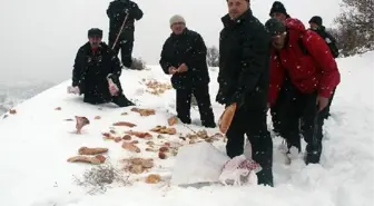 Yaban Hayvanları İçin Yem Bırakıldı