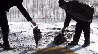 Yaban Hayvanları İçin Doğaya Yem Bırakıldı