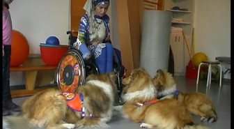 Engelleri Aşmak İçin Köpek Eğitiyor