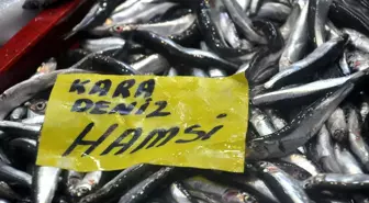 Hamsi Fiyatları El Yakıyor
