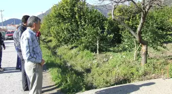 Otomobil Portakal Bahçesine Uçtu; 1 Yaralı