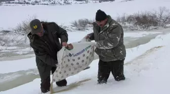 Bolu'da Yaban Hayvanları İçin Yem Bırakıldı