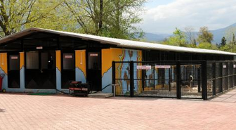Antalya Bürosu'nun Bölge Haberleri (1)