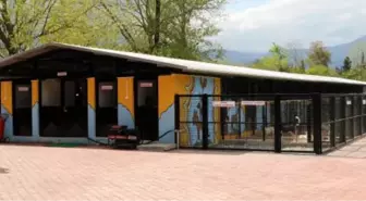 Antalya Bürosu'nun Bölge Haberleri (1)