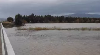 Büyük Menderes Nehri'nde Taşkın