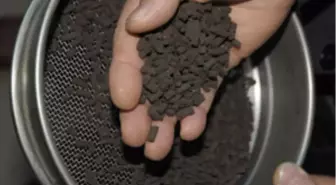 Fındık Zülüfü ve Çay Çöpünden Organik Gübre Üretti