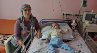 İki Bebeğe Can Aşısı