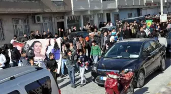 Öldürülen PKK'lı Annesiyle Gömüldü