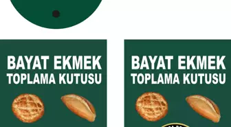 Sokak Hayvanlarına Sahip Çıkalım