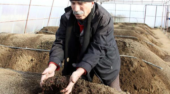 Solucanları Besleyip Gübre Elde Ediyorlar