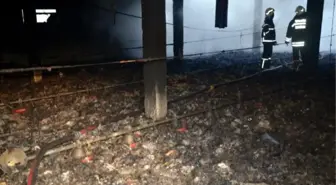 Yangında 19 Bin Civciv Telef Oldu