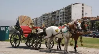 Yyü'de Faytonlu Ulaşım Devri