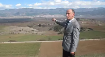 Niksar, Karadeniz'in Çukurovası Olacak