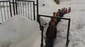 Yolu Kardan Kapalı Mezradaki 20 Öğrenci Karnelerini Alamadı