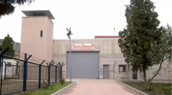 Aileler Yarın İmralı'ya Gidecek