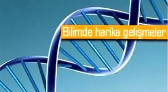 Depolamada Cd Yerine Dna Devri