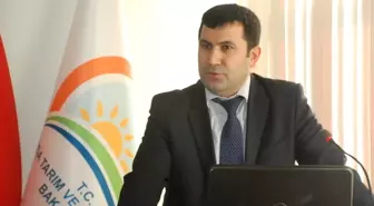 Sinop'ta 'İstatistik' Toplantısı