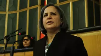 BDP Grup Toplantısı