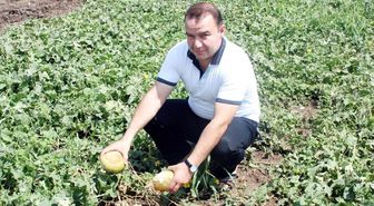 Kilis Ziraat Odası'ndan Tarım Sigortası Çağrısı